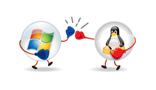 Linux & Windows Web Hosting Hyderabad