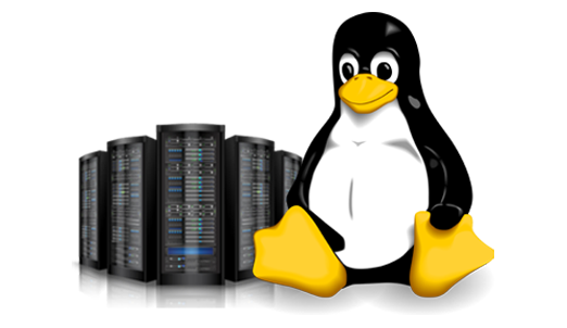 Linux Web Hosting Calicut Kerala