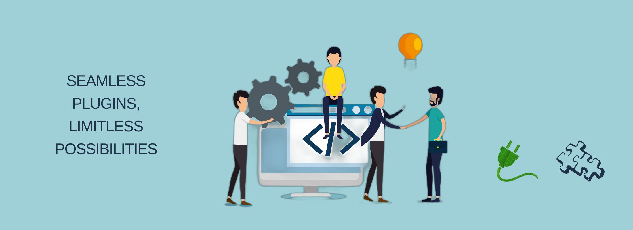 Plugin And Module Development Services